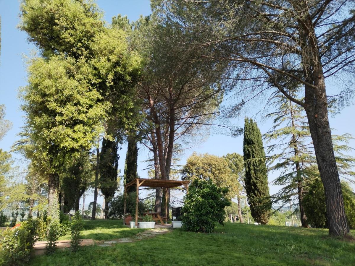 Agriturismo Poggio Rotondo San Gimignano Exteriör bild